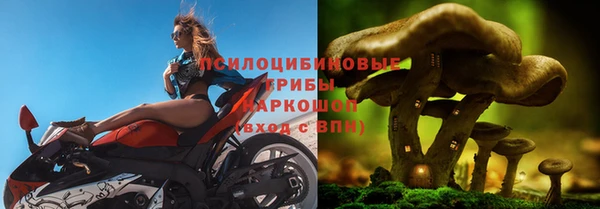 герыч Жердевка
