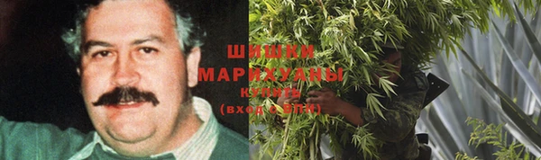 прущие крисы Новодвинск