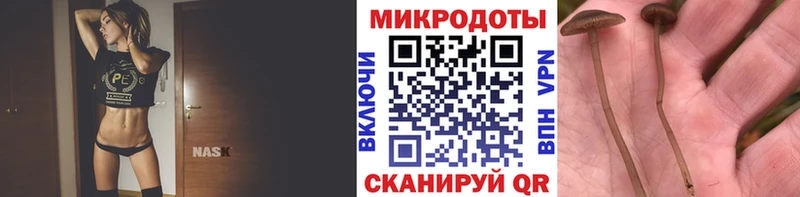 Псилоцибиновые грибы GOLDEN TEACHER  кракен онион  Зуевка  где купить наркоту 